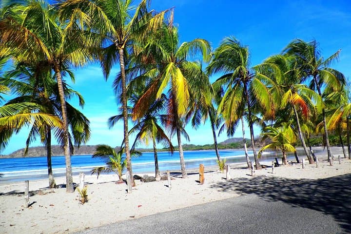 Liberia Airport to Samara & Carrillo Beach Private Transfer — Door-to-Beach Shuttle photo 2