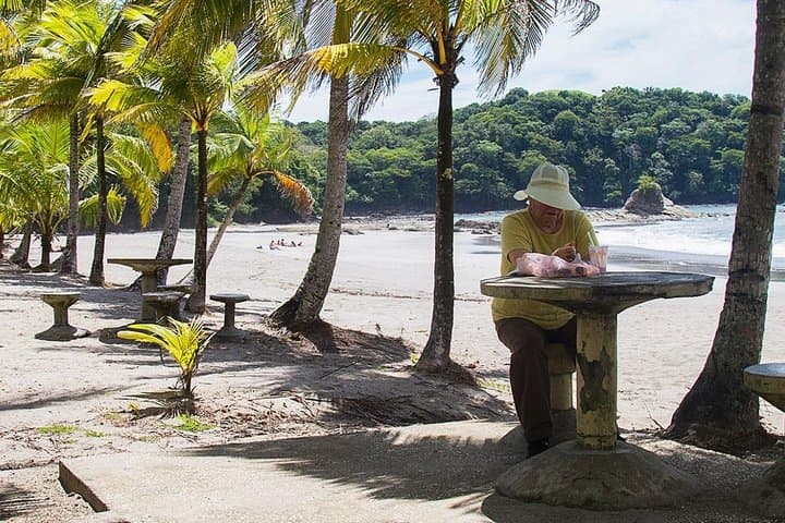 Liberia Airport to Samara & Carrillo Beach Private Transfer — Door-to-Beach Shuttle photo 4