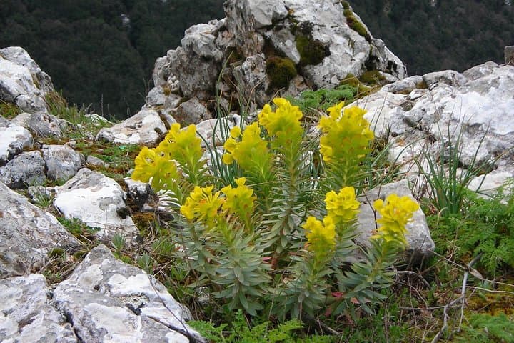 Etna Morning Experience: Guided Hike, Lava Caves & Valle del Bove Views photo 4
