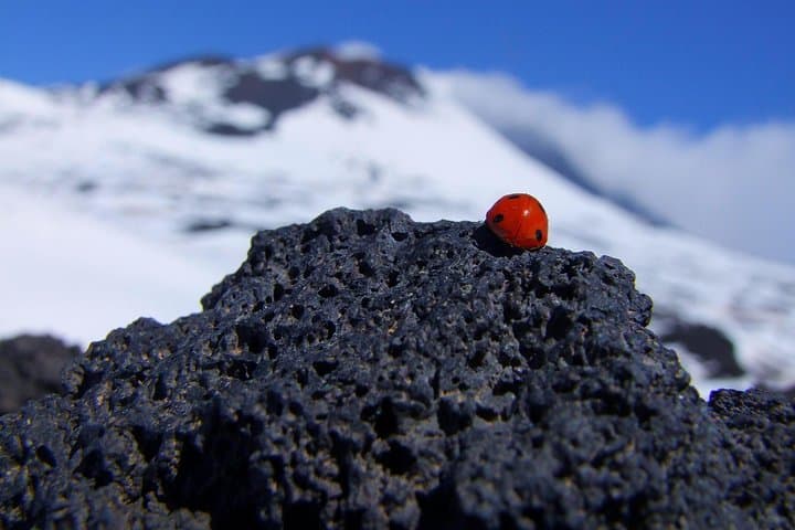 Etna Morning Experience: Guided Hike, Lava Caves & Valle del Bove Views