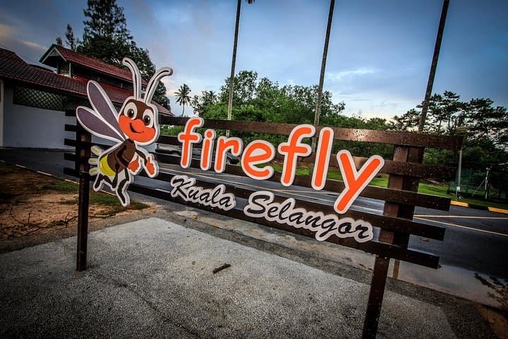 Kuala Selangor Firefly Tour: Night Boat, Seafood & Bukit Melawati photo 6