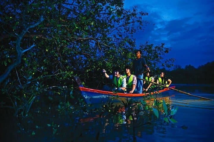 Kuala Selangor Firefly Tour: Night Boat, Seafood & Bukit Melawati photo 2