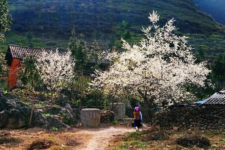 2-Day Sapa Trek: Cat Cat, Y Linh Ho & Ta Van Villages from Hanoi photo 1