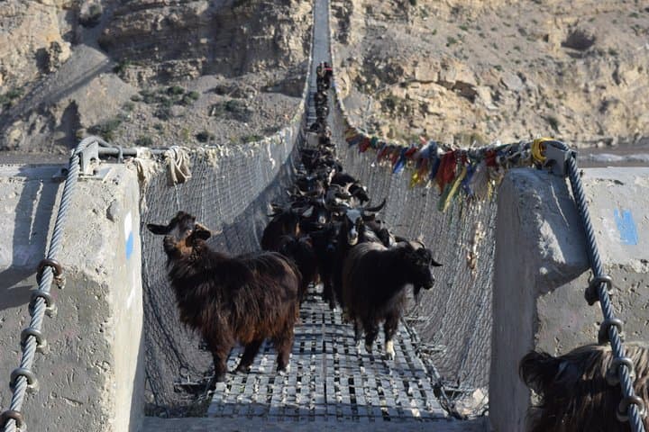 Upper Mustang Trek: 11-Night Journey to Lo Manthang’s Wind‑Sculpted Valleys photo 6