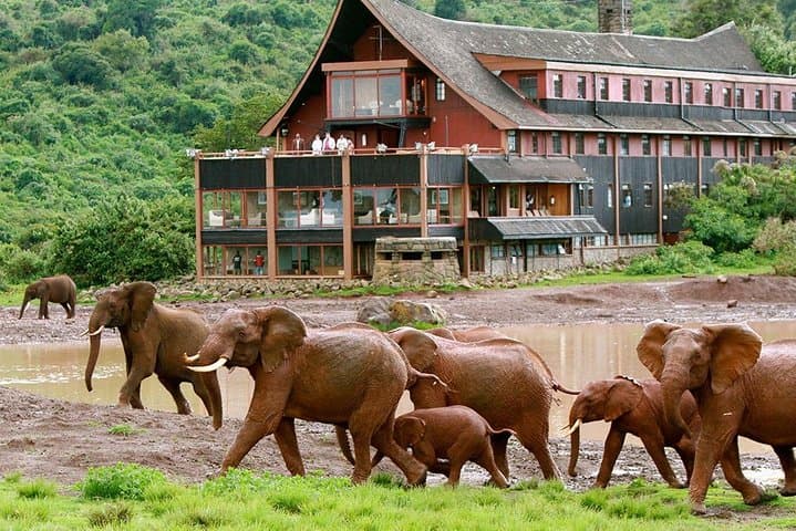 7-Day Private Kenya Big 5 Safari — Samburu to Masai Mara