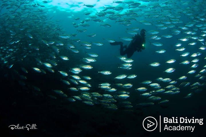 Snorkel the USAT Liberty: Day Trip to Tulamben from South Bali photo 2