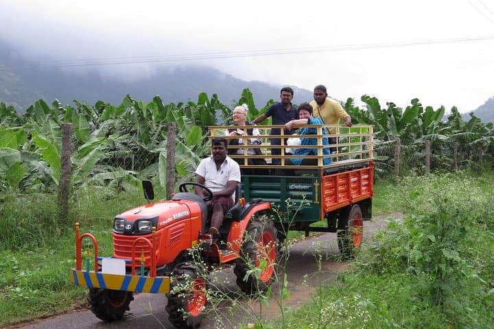 Hill-Station Farmhouse Stay Near Thekkady: Rustic Nights, Periyar Boating & Local Markets