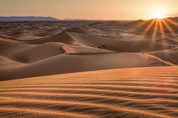 Morning Desert Safari: Dubai Red Dunes Dune-Bashing & Sandboarding photo 3