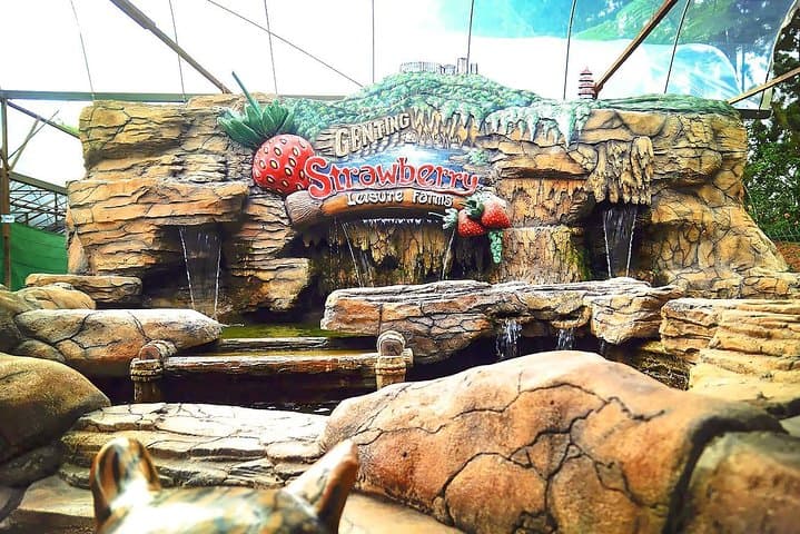 Genting Highlands Full-Day Tour with Batu Caves & 2-Way Cable Car photo 2