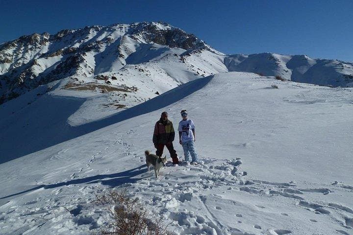 Chimgan Mountains & Amirsay Resort Day Trip from Tashkent photo 6