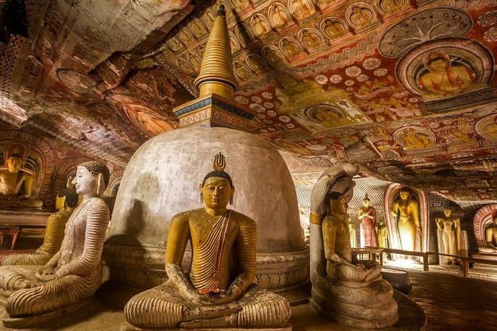 Sight Scenes Tour Sri Lanka — 6-Day Cultural, Tea Country & Safari Itinerary photo 2