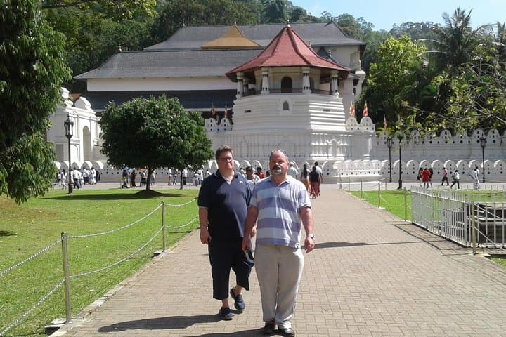Sight Scenes Tour Sri Lanka — 6-Day Cultural, Tea Country & Safari Itinerary photo 4