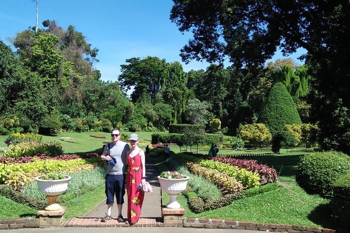 Sight Scenes Tour Sri Lanka — 6-Day Cultural, Tea Country & Safari Itinerary photo 5