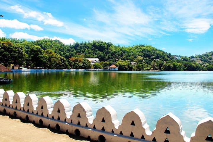 Kandy Day Tour from Colombo: Temple, Gardens & Tea Hills photo 3