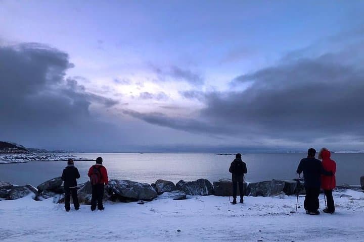 Arctic Coastal Walk near Bodø — Guided Friluftsliv on Norwegian Beaches photo 3
