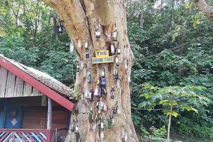 3-Day Jinja & Kampala Excursion: Nile Rafting, Source of the Nile & Cultural Highlights photo 4