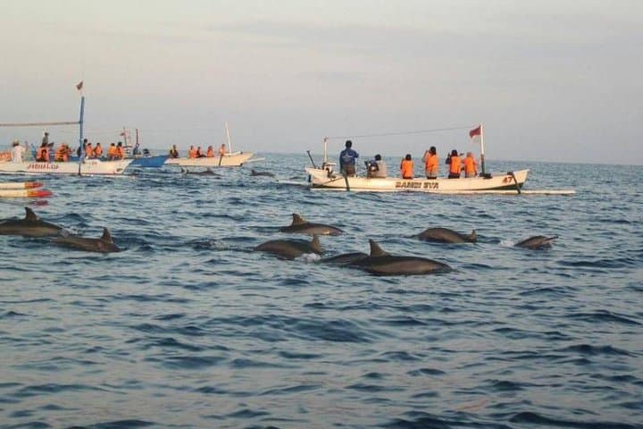 North Bali Dolphin Tour: Lovina Dolphins, Waterfall, Wanagiri Lakes & Ulun Danu photo 2