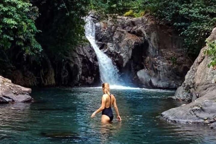 North Bali Dolphin Tour: Lovina Dolphins, Waterfall, Wanagiri Lakes & Ulun Danu photo 4