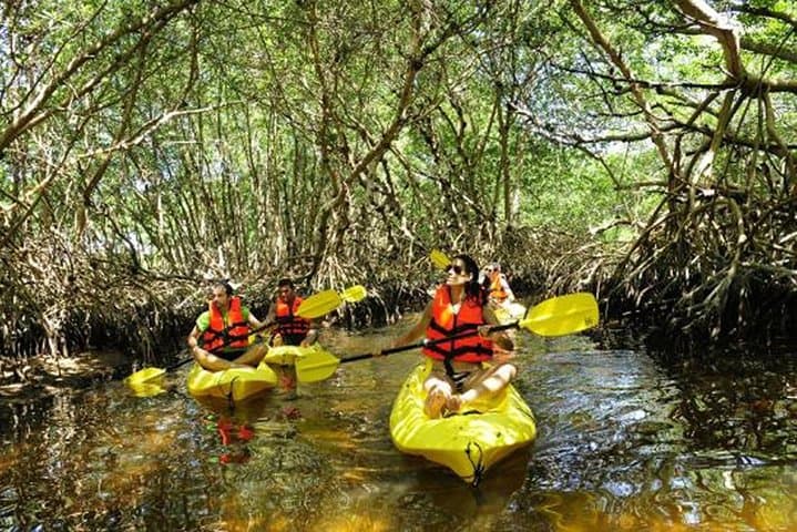 Hike and Kayak Los Haitises: Caño Hondo Mangroves & Caves Adventure photo 5