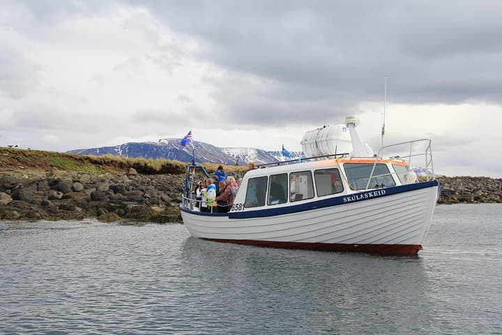 Reykjavik Puffin Cruise & Whale-Watching Super Saver: Puffins, Whales and Faxaflói Bay photo 3