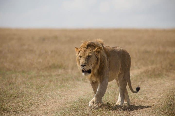 16-Day Kenyan Mountain Biking & Safari: Rift Valley to Lake Victoria photo 2