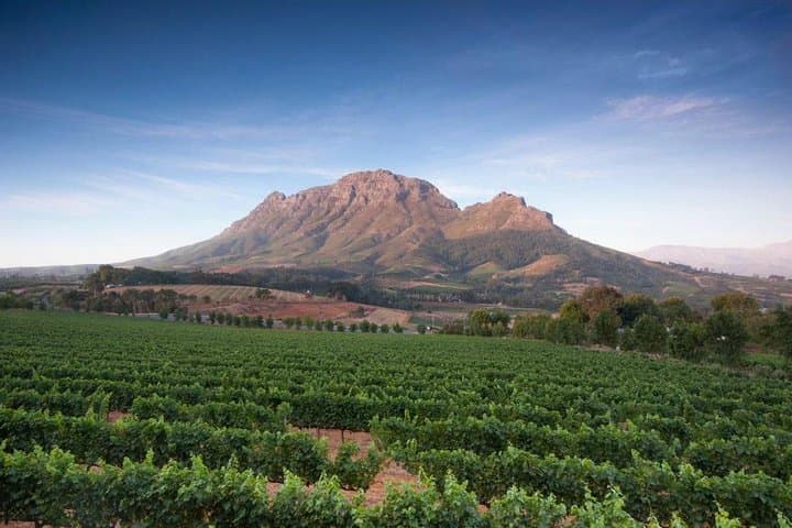 Cape Winelands Tour: Stellenbosch, Franschhoek & Paarl Day Trip from Cape Town photo 3