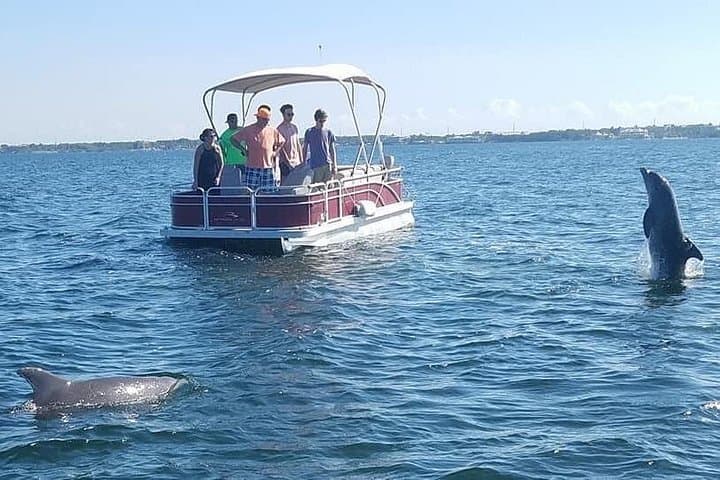 Florida Keys Eco Boat Tour in Key Largo — Dolphins & Manatees & Coastal Ecology photo 2
