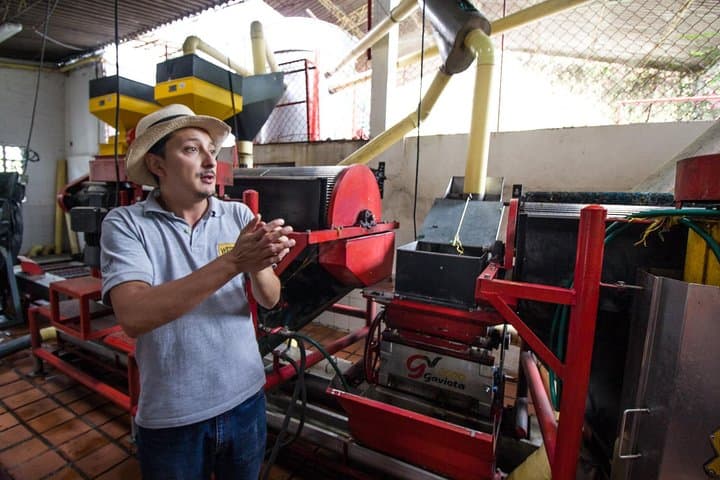 Private Coffee Tour at Hacienda Venecia near Salento — Farm Walk & Cupping Experience photo 2