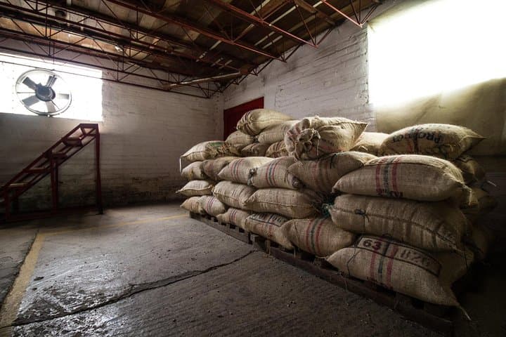 Private Coffee Tour at Hacienda Venecia near Salento — Farm Walk & Cupping Experience photo 3