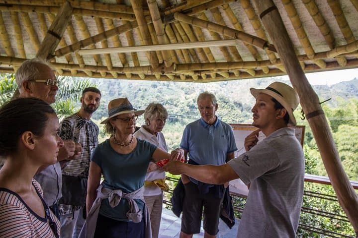 Private Coffee Tour at Hacienda Venecia near Salento — Farm Walk & Cupping Experience photo 1