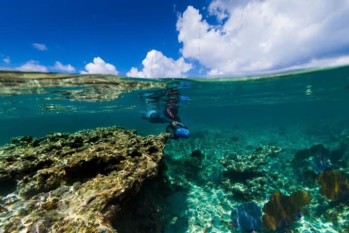 Power Snorkel Cozumel: Sea Scooters, Reefs & Tequila Tasting