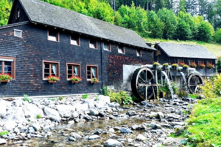 Black Forest 3-Country Tour from Munich — Lake Constance, Rhine Falls & Strasbourg photo 3