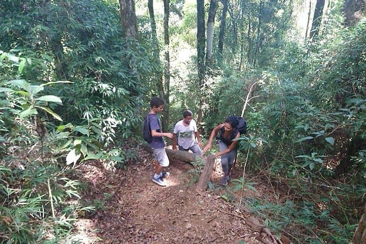 Pico do Papagaio Sunrise Hike on Ilha Grande — Private 8‑Hour Guided Trek photo 3