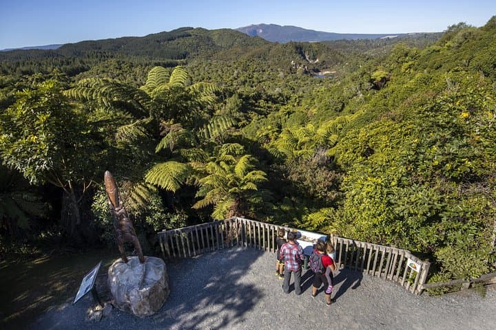 Self-Guided Waimangu Volcanic Valley Walk — Frying Pan Lake to Inferno Crater photo 5