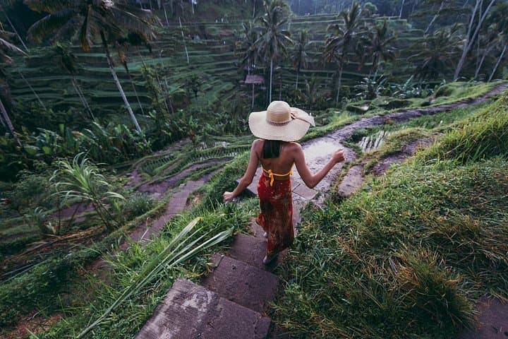 Ubud to Tanah Lot: Private Full-Day Cultural & Sunset Tour photo 2