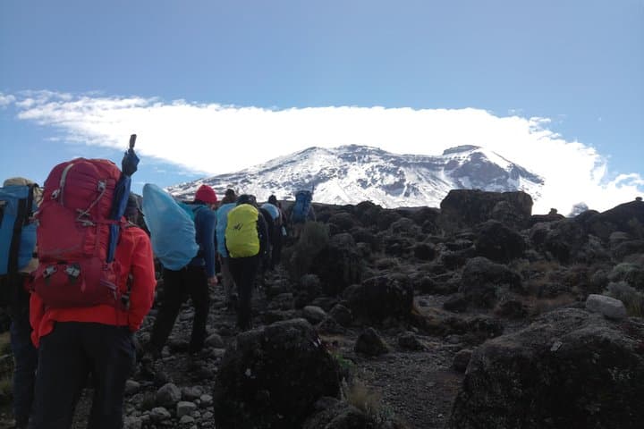 7-Day Lemosho Route: Climb Mount Kilimanjaro from Moshi to Uhuru Peak photo 5