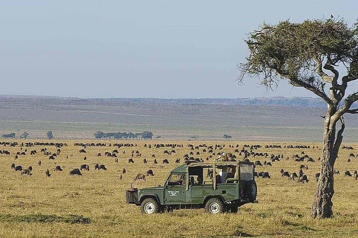 12-Day Kenya Wildlife Photographic Safari — Masai Mara, Nakuru, Samburu & Ol Pejeta photo 6