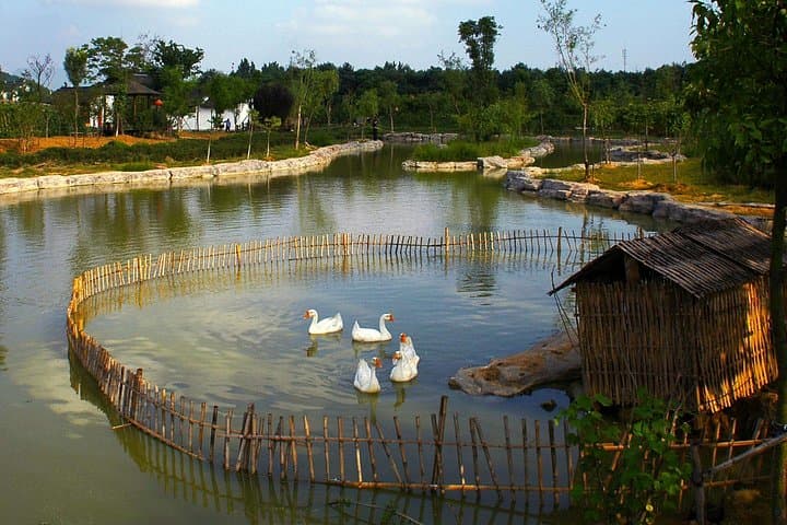 Day Escape from Suzhou: Eco-Village Walk, Home Lunch & Hot Spring Spa photo 5