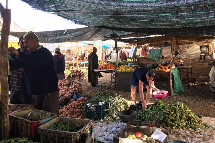 Atlas Mountains 4x4 Day Trip from Marrakech with Berber House Lunch photo 3