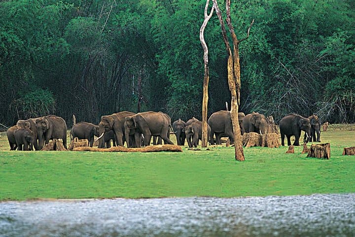 Kerala 5-Day Munnar, Thekkady & Alleppey Tour with Private Houseboat photo 1