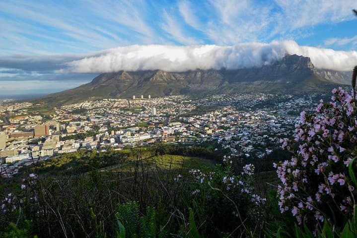 Cape Town City Tour — Table Mountain, Bo-Kaap & Noon Gun Full-Day Orientation photo 3