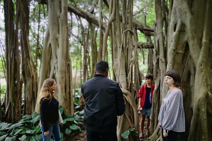 Durban From Within: Immersive Full-Day Cultural & Street Art Tour photo 3