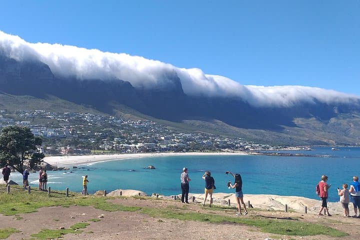 Cape Town One-Day: Table Mountain, Boulders Penguins, Cape Point & Stellenbosch Wine Tour photo 5