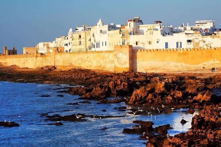 Day Trip to Essaouira from Marrakech — Argan Trees, Atlantic Breezes & Fresh Seafood photo 1