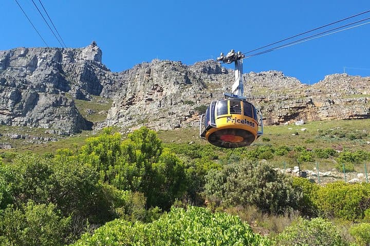 Cape Town One-Day: Table Mountain, Boulders Penguins, Cape Point & Stellenbosch Wine Tour photo 4