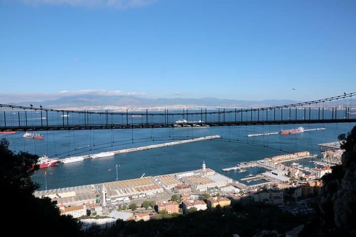Gibraltar Skywalk & Windsor Suspension Bridge Tour: Upper Rock Highlights photo 3