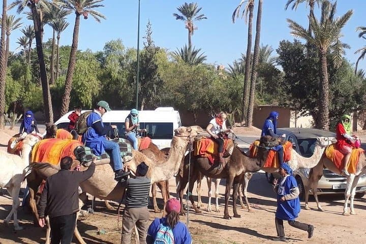 Marrakech Palmeraie Camel Ride: 1-Hour Camel Trek & Berber Tea Experience photo 4