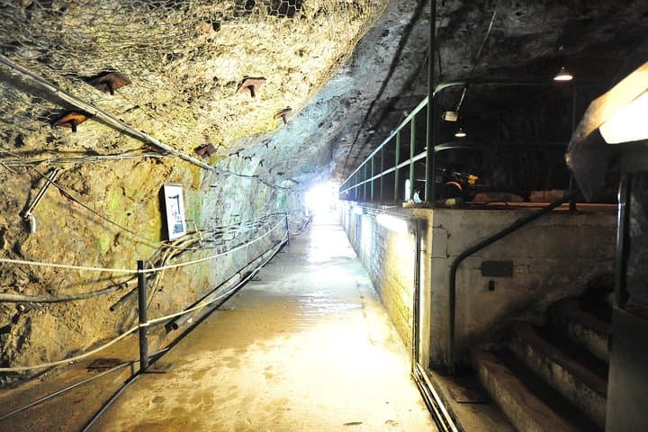 Gibraltar WWII Tunnels & Upper Rock Tour — 3-Hour Shore Excursion photo 6