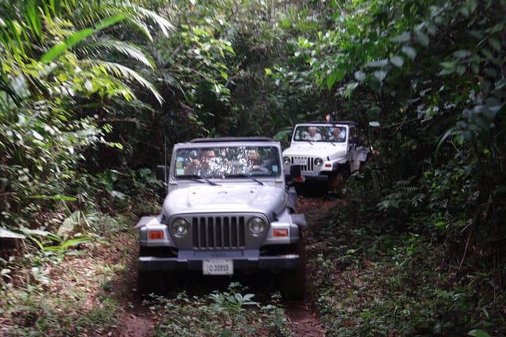 Belize Rainforest Zipline & Jungle Jeep Safari — Half-Day Adventure from Belize City photo 2