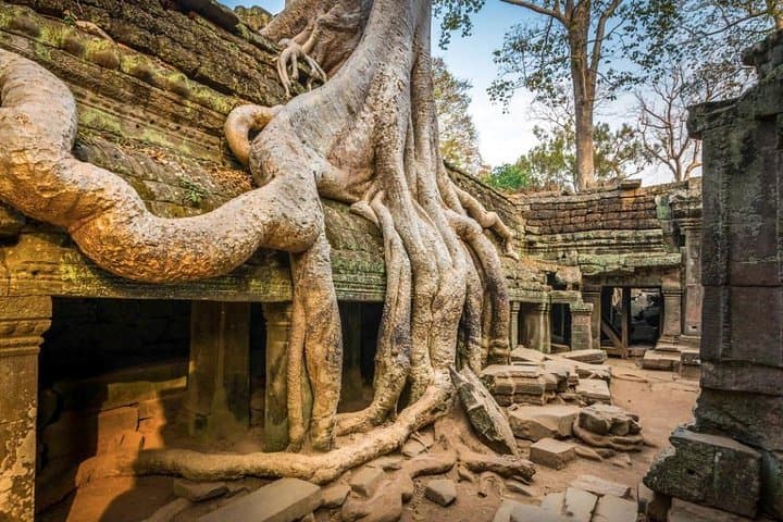 Angkor Wat Full-Day Temple Tour — Angkor Thom, Ta Prohm & Phnom Bakheng Sunset photo 2